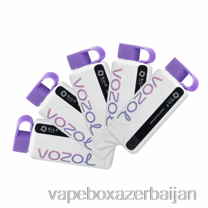 Vape Baku [5-Pack] VOZOL STAR 9000 Disposable